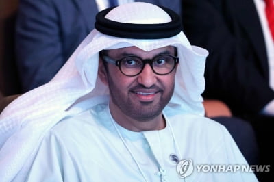 "UAE, 기후총회 주최 앞두고 위키피디아 편집해 '그린워싱'"