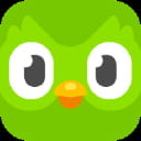 Duolingo Inc 분기 실적 발표(확정) 어닝서프라이즈, 매출 시장전망치 부합