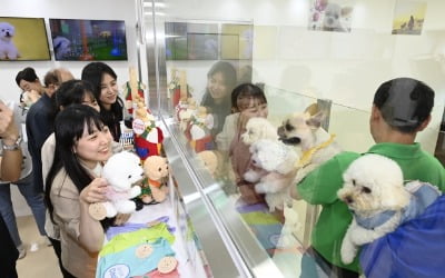 [포토] "공항에 반려견 맡기고 여행가요"