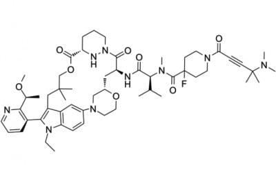 ‘AACR 2023’에서 최초로 구조가 공개된 소분자 신약 후보물질