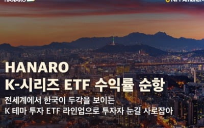 NH아문디 'K-pop ETF' 수익률 43%…엔터 ETF 1위
