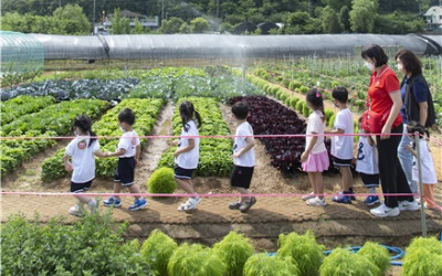 도심서 농업과 캠핑을 동시에…금천구 '힐링가족 캠핑농장' 운영 [메트로]