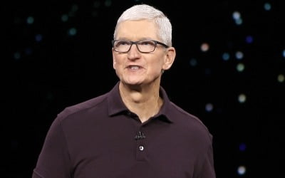 월가 "애플 혼합현실 헤드셋, 26조원 플랫폼으로 성장" 전망