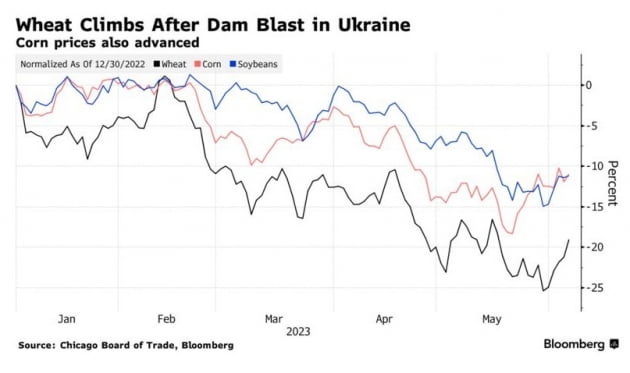 러시아가 또…우크라 댐 폭파로 농산물 가격 급등 [원자재 포커스]
