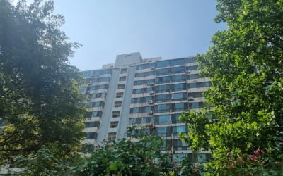 46년 된 아파트가 30억원?…신축보다 비싼 '잠실 만년 유망주'