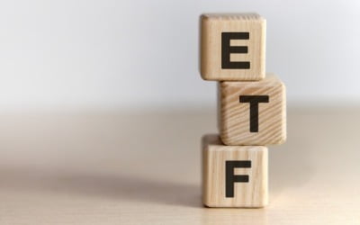 올 상반기에만 17조 늘어난 ETF 시장…운용사별 성적표는?