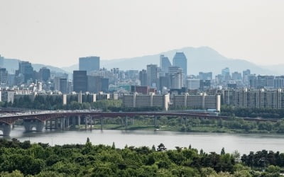 '한강사업추진단' 조직 추가…사업 추진 속도 내는 서울시