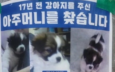 "죽기 전에 꼭…16년 전 강아지 주신 분 찾아요" 감동 사연