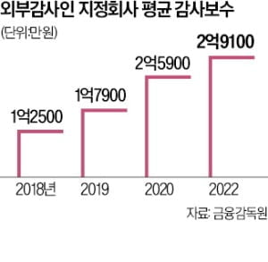 '주기적 지정감사제 개선' 올해 안 된다…금융위 "데이터 불충분" 