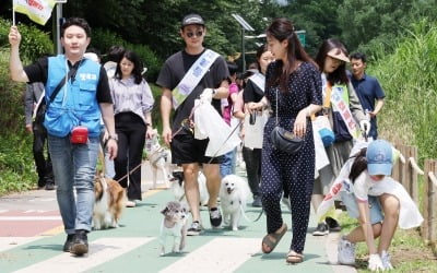 [포토] 반려견과 함께하는 플로깅 캠페인