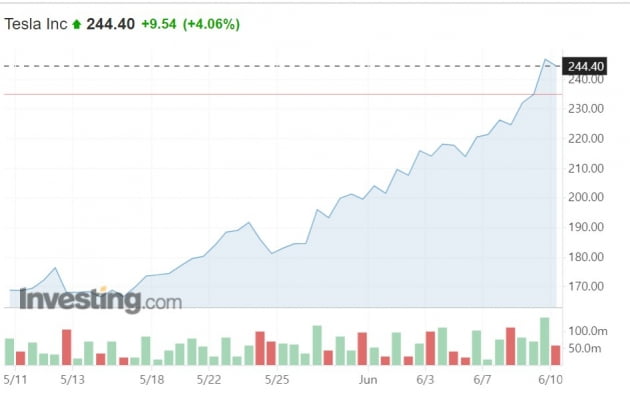 11일 연속 뛴 테슬라, 너무 올랐나…"주가 17% 빠질 수도"