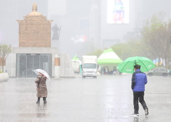지난 4월 광화문광장을 지나는 시민들이 갑자기 쏟아지는 비를 뚫고 걸어가는 모습 / 사진=연합뉴스