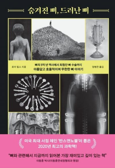 뼈에 관한 모든 것... '뼈 때리는' 이야기들 [책마을]