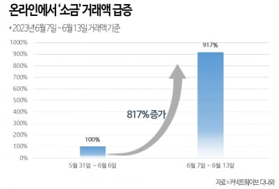 온라인 소금 거래액 추이. /자료=커넥트웨이브 다나와