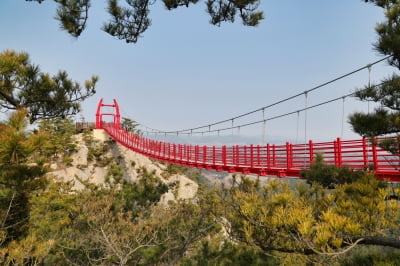 역사·관광자원 태안 백화산, 힐링 관광지로 탈바꿈