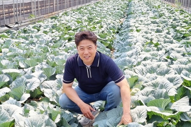 황한수 매곡작목반 대표가 경기 이천시 호법면 매곡리 매곡작목반의 비닐하우스에서 작물을 소개하고 있다.  사진=오정민 한경닷컴 기자 