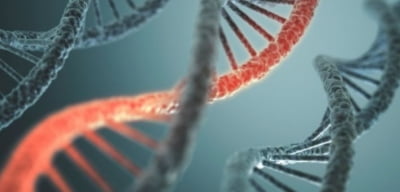 알지노믹스, 한국미생물·생명공학회 참가…"RNA 치료제 토의"