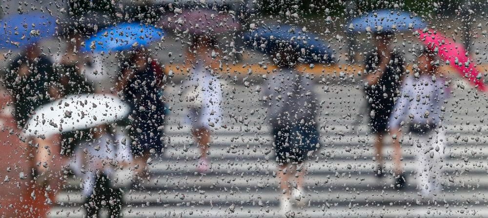 서울 시내 한 거리에서 우산을 쓴 시민들이 발걸음을 옮기고 있다. 사진=뉴스1