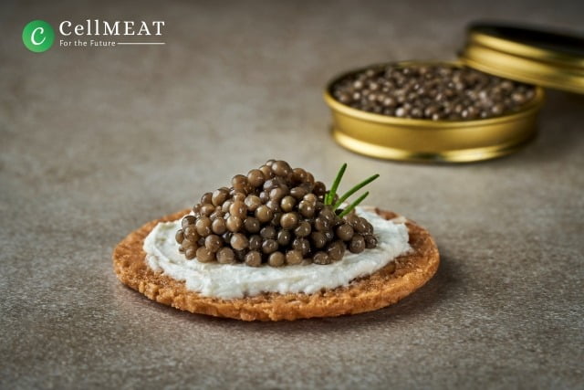셀미트가 개발에 성공한 세포기반 캐비어 시제품. 