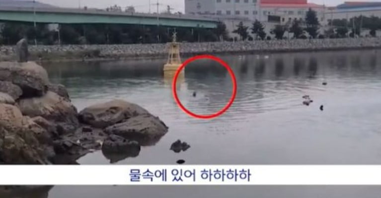 경찰을 피해 물속으로 뛰어든 남성을 보고 웃음을 터뜨린 시민. /사진=MBC 뉴스 화면 캡처