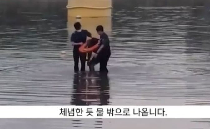 결국 경찰에 붙잡혀 물 밖으로 나오게 된 남성. /사진=MBC 뉴스 화면 캡처
