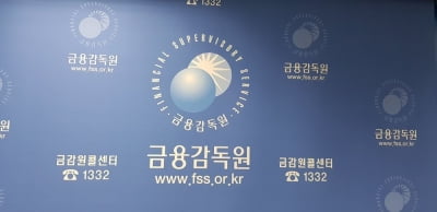 금감원, 주권상장법인 감사인 설명회 개최