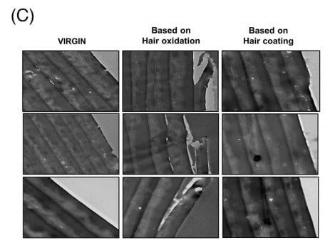 갈변 샴푸와 코팅 샴푸 간 큐티클 층 손상 비교. 왼쪽부터 기준 모발, 갈변 샴푸 사용 모발, 코팅 샴푸 사용 모발. 