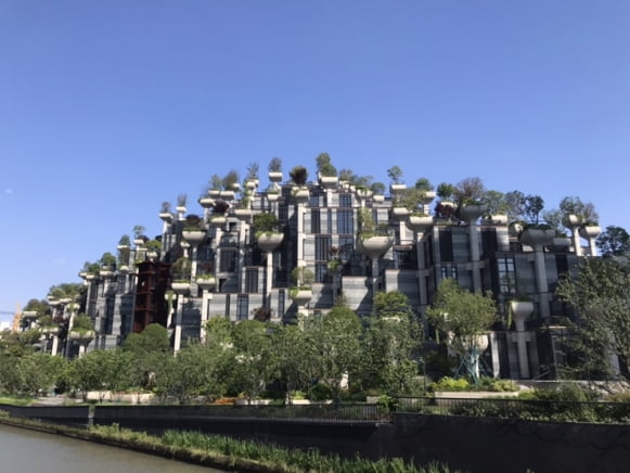 '영국의 다빈치' 헤더윅 "난, 천년 남을 건물을 빚는다" [인터뷰]
