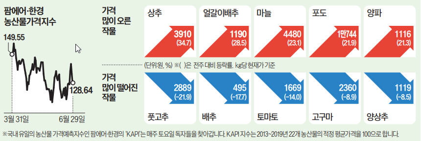 식탁 물가 덮친 '물폭탄'…감자값 10년來 최고 