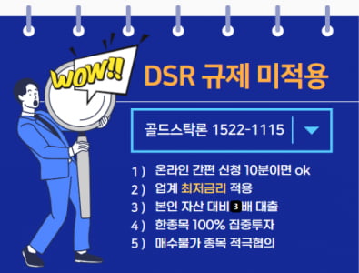 DSR 규제 없는 주담대 상품 출시! 금리는 낮추고 수익은 높이고