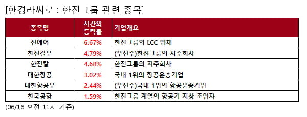 진에어,한진칼우,한진칼,대한항공,대한항공우,한국공항