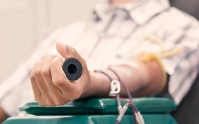 "교통법규 위반, 헌혈하면 벌금 감면"…이색 입법 추진한 나라