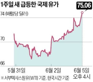 네옴시티 자금 급했나…사우디 '나홀로 감산'