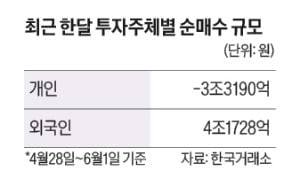 외국인은 반도체 '폭풍 매수'…개미는 2차전지에 '올인'