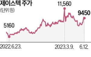 사업 영토 확장 통했나…80% 오른 제이스텍