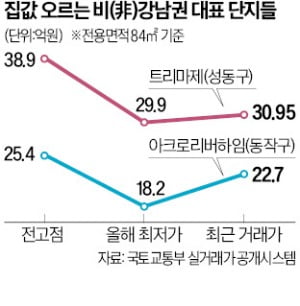 성수 트리마제, 흑석 리버하임…'30억·20억 클럽' 재진입