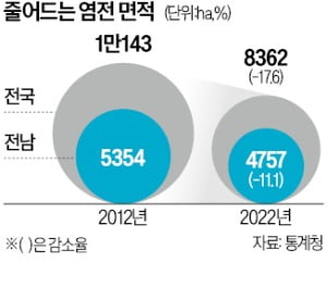 천일염 값 75% 급등…"내달 햇소금 나와야 진정"