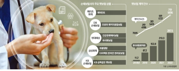 부담되는 동물병원 진료비…펫보험으로 대비해볼까