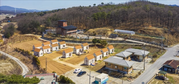 경기 용인 학일온라인 카지노 사이트, 유기농법 청정온라인 카지노 사이트…'클라인가르텐' 인기