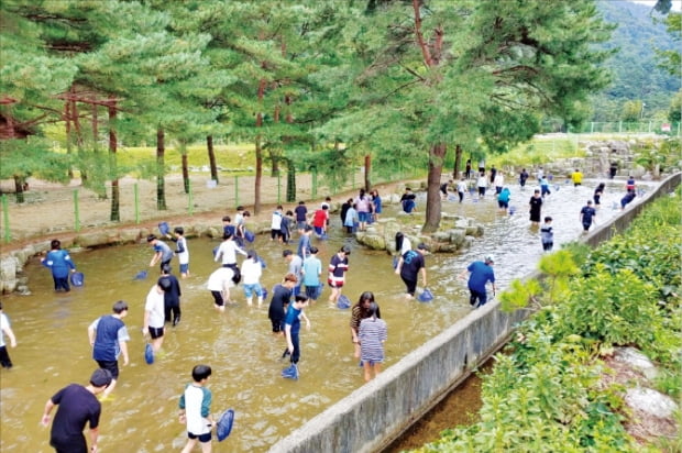 강원 양양 해담마을, 카약·뗏목타기·물고기잡기 체험거리 다양