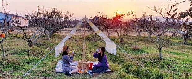 경남 창원 빗돌배기카지노사이트 추천, 숙박·음식·체험 1등급…농촌 휴양 '으뜸촌'