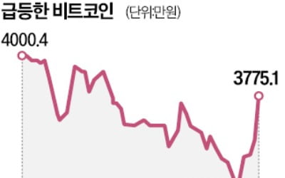 블랙록發 비트코인 랠리…닷새간 300만원 '껑충'