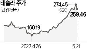 너무 달렸나…테슬라 주가 두달새 최대폭 하락