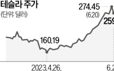 너무 달렸나…테슬라 주가 두달새 최대폭 하락