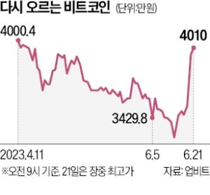 비트코인 4000만원 찍었다…파월·블랙록이 쏘아올린 불장