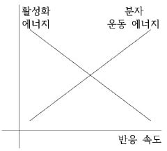 [신철수 쌤의 국어 지문 읽기] 피드백 개념을 활용, 판정도를 그려가며 이해하자