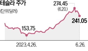 골드만삭스도 테슬라 주가에 '과속 딱지'