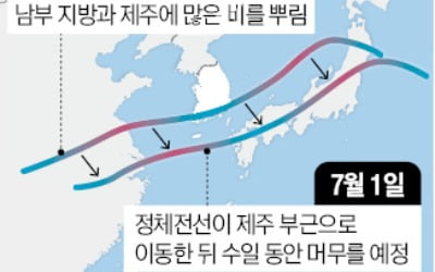 수도권 퍼부은 장맛비…30일 남부 '2차 공습'