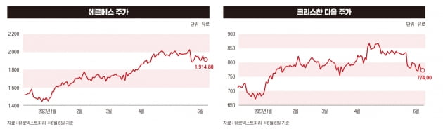 테슬라 이겼던 루이비통, 이제 성장세 꺾이나[특이점이 온 명품②]