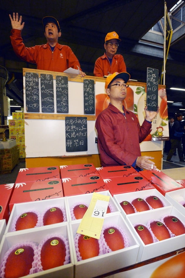 파인애플 한개가 2000만원...세계에서 가장 비싼 과일은?
